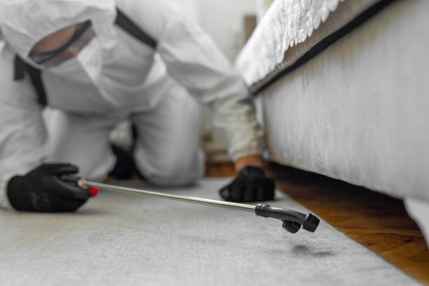 Professional Bed Bug Control technician working in West Lafayette, OH