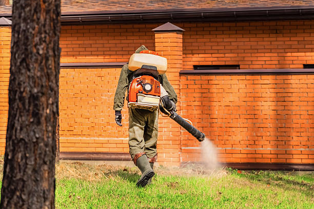 Trusted Rodent Control service in West Lafayette, OH - Nex Pest Control